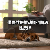 供需共振推动铜价阶段性反弹(图3) 供需共振推动铜价阶段性反弹(图3)