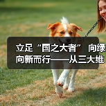 立足“国之大者” 向绿向新而行——从三大维度解码能源强国建设之路(图2) 立足“国之大者” 向绿向新而行——从三大维度解码能源强国建设之路(图2)