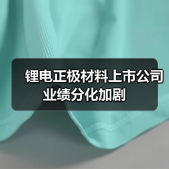 锂电正极材料上市公司业绩分化加剧（图3）