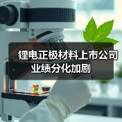 锂电正极材料上市公司业绩分化加剧（图1）