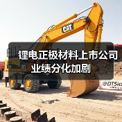 锂电正极材料上市公司业绩分化加剧（图4）