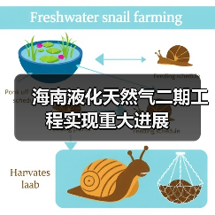 海南液化天然气二期工程实现重大进展(图1) 海南液化天然气二期工程实现重大进展(图1)