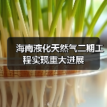 海南液化天然气二期工程实现重大进展(图3) 海南液化天然气二期工程实现重大进展(图3)