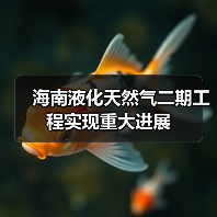 海南液化天然气二期工程实现重大进展(图4) 海南液化天然气二期工程实现重大进展(图4)