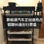 新能源汽车正加速抢占假期长途出行赛道