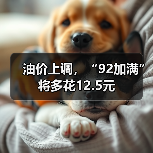 油价上调,“92加满”将多花12.5元(图3) 油价上调,“92加满”将多花12.5元(图3)