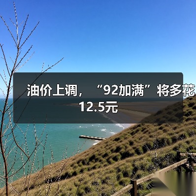 油价上调,“92加满”将多花12.5元(图4) 油价上调,“92加满”将多花12.5元(图4)