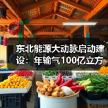 东北能源大动脉启动建设:年输气100亿立方米(图2) 东北能源大动脉启动建设:年输气100亿立方米(图2)