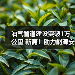 油气管道建设突破1万公里 新高!助力能源安全与全国网络完善(图3) 油气管道建设突破1万公里 新高!助力能源安全与全国网络完善(图3)