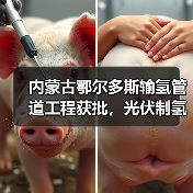 内蒙古鄂尔多斯输氢管道工程获批,光伏制氢配套项目启动(图2) 内蒙古鄂尔多斯输氢管道工程获批,光伏制氢配套项目启动(图2)