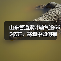 山东管道累计输气逾665亿方,寒潮中如何确保供气安全?(图2) 山东管道累计输气逾665亿方,寒潮中如何确保供气安全?(图2)