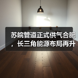 苏皖管道正式供气合肥,长三角能源布局再升级(图3) 苏皖管道正式供气合肥,长三角能源布局再升级(图3)
