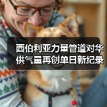 西伯利亚力量管道对华供气量再创单日新纪录