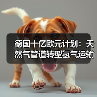 德国十亿欧元计划:天然气管道转型氢气运输?(图2) 德国十亿欧元计划:天然气管道转型氢气运输?(图2)
