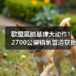 欧盟氢能基建大动作!2700公里输氢管道获批,助力碳中和(图3) 欧盟氢能基建大动作!2700公里输氢管道获批,助力碳中和(图3)