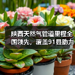 陕西天然气管道里程全国领先,覆盖91县助力能源转型(图4) 陕西天然气管道里程全国领先,覆盖91县助力能源转型(图4)