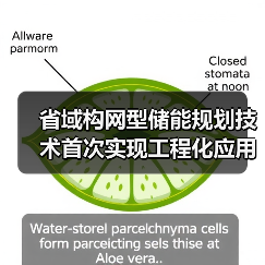省域构网型储能规划技术首次实现工程化应用(图2) 省域构网型储能规划技术首次实现工程化应用(图2)