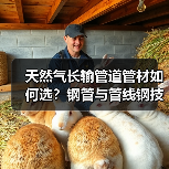天然气长输管道管材如何选？钢管与管线钢技术解析（图3）