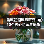 输氢管道氢脆研究中的10个核心问题与挑战（图1）