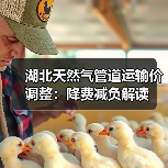 湖北天然气管道运输价调整:降费减负解读(图2) 湖北天然气管道运输价调整:降费减负解读(图2)