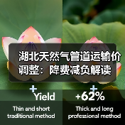 湖北天然气管道运输价调整:降费减负解读(图3) 湖北天然气管道运输价调整:降费减负解读(图3)