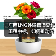 广西LNG外输管道复线工程中标，如何推动天然气互联互通？（图4）