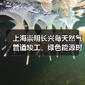 上海崇明长兴岛天然气管道竣工,绿色能源时代即将开启(图2) 上海崇明长兴岛天然气管道竣工,绿色能源时代即将开启(图2)