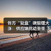 各方“复盘”碳酸锂大涨:供应端扰动重重 下游需求旺盛(图2) 各方“复盘”碳酸锂大涨:供应端扰动重重 下游需求旺盛(图2)