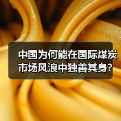 中国为何能在国际煤炭市场风浪中独善其身?(图1) 中国为何能在国际煤炭市场风浪中独善其身?(图1)
