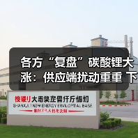 各方“复盘”碳酸锂大涨:供应端扰动重重 下游需求旺盛(图3) 各方“复盘”碳酸锂大涨:供应端扰动重重 下游需求旺盛(图3)
