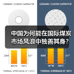 中国为何能在国际煤炭市场风浪中独善其身?(图3) 中国为何能在国际煤炭市场风浪中独善其身?(图3)