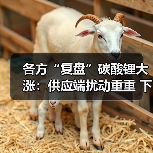 各方“复盘”碳酸锂大涨:供应端扰动重重 下游需求旺盛(图4) 各方“复盘”碳酸锂大涨:供应端扰动重重 下游需求旺盛(图4)