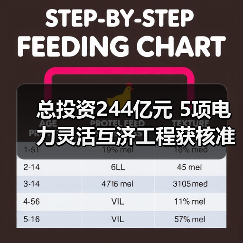 总投资244亿元 5项电力灵活互济工程获核准(图3) 总投资244亿元 5项电力灵活互济工程获核准(图3)