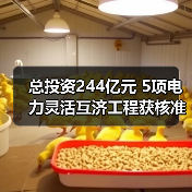 总投资244亿元 5项电力灵活互济工程获核准（图4）