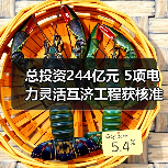总投资244亿元 5项电力灵活互济工程获核准（图2）