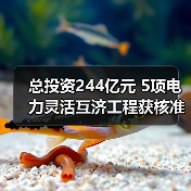 总投资244亿元 5项电力灵活互济工程获核准（图3）