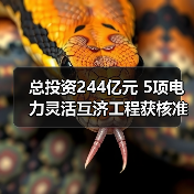 总投资244亿元 5项电力灵活互济工程获核准（图4）