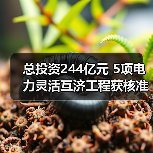 总投资244亿元 5项电力灵活互济工程获核准(图3) 总投资244亿元 5项电力灵活互济工程获核准(图3)