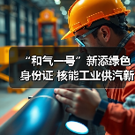 “和气一号”新添绿色身份证 核能工业供汽新成果发布(图3) “和气一号”新添绿色身份证 核能工业供汽新成果发布(图3)