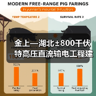 金上—湖北±800千伏特高压直流输电工程建成投运(图3) 金上—湖北±800千伏特高压直流输电工程建成投运(图3)