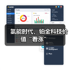 氢能时代，铂金科技价值“看涨”（图1）